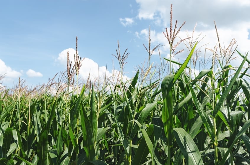 High-Yield Prospects: April 22 Edition